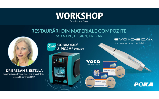 RESTAURARI DIN MATERIALE COMPOZITE - SCANARE, DESIGN, FREZARE