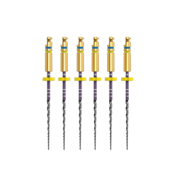 Ace Zenflex Ni-Ti .30/.04/21mm 6buc/cutie 818-1306