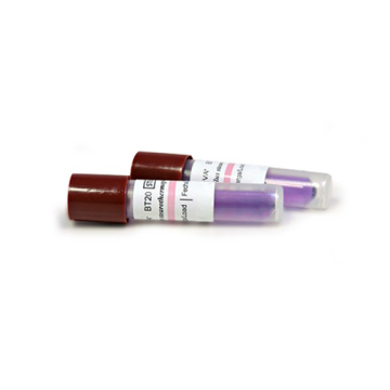 INDICATOR BIOLOGIC FIOLA ABUR 24 ORE 100BUC/CUT