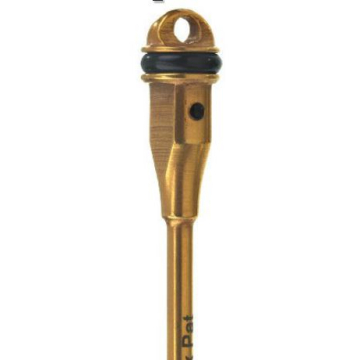 Mandrina rapida DFS 810002-1