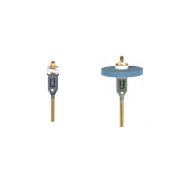 Mandrina rapida DFS 810003