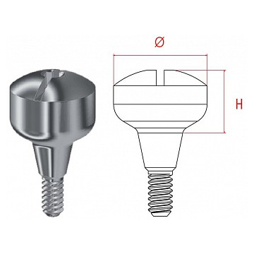 MG Bont vindecare Estetic STD 4mm Inhex 23206040