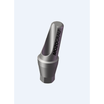 MG Inhex Bont protetic angulat 20 GRD Maxi 5 mm 23251520