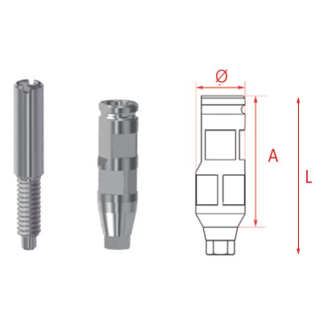MG Bont de transfer hex. Inhex Std 23205503