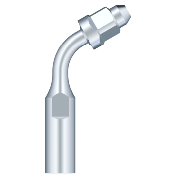 SKL Anse Endo pt scaler E1-S