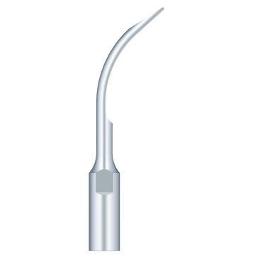 SKL Anse pt scaler G6-S