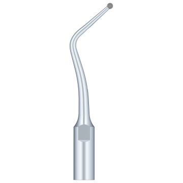 SKL Anse pt scaler SB1-S