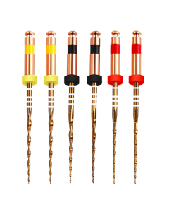 ACE ENDO RC GOLD 31 MM R25-R50 6 BUC/CUT D-PERFECT
