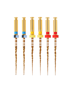 ACE ENDO MTF PLUS GOLD 31 MM X1-X3 6 BUC/CUT D-PERFECT