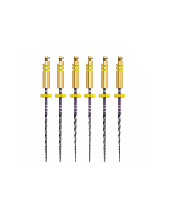 ACE ZENFLEX NI-TI  .20/.04/25MM 6 BUC/CUT 818-1207