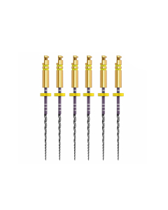 ACE ZENFLEX NI-TI  .20/.04/31MM 6 BUC/CUT 818-1208