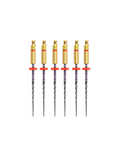 ACE ZENFLEX NI-TI  .20/.06/31MM 6 BUC/CUT 818-2208