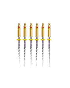 ACE ZENFLEX NI-TI  .25/.04/31MM 6 BUC/CUT 818-1258