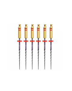 ACE ZENFLEX NI-TI  .25/.06/21MM 6 BUC/CUT 818-2256