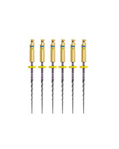 ACE ZENFLEX NI-TI  .30/.04/21MM 6 BUC/CUT 818-1306