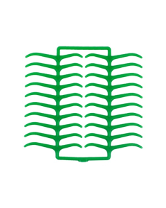CEARA CLEME-MOLAR DENTAURUM , VERDE, STD