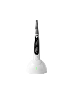 DTE ENDOMATIC