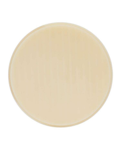 E4K Disc PMMA Premia A2 98.5x18