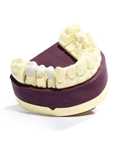Gips Esthetic-B Evolution ivory 2.5kg