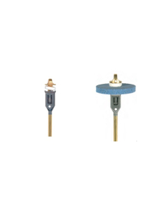 Mandrina rapida DFS 810003