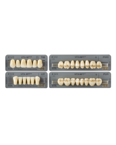 MFT Vita Garnituri dinti de diferite culori si marimi, 1 sina/set