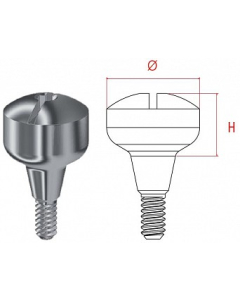 MG BONT VINDECARE STD ESTETIC D 6MM H 5MM INHEX 23206050