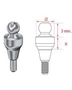 MG INHEX BONT GLOBULAR CAP PLASTIC STD 2 MM 23208620