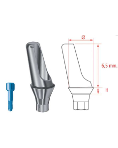 MG INHEX BONT PROTETIC ANGULAT 20 GRD STD 1 MM W/S 23201020