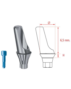 MG INHEX BONT PROTETIC ANGULAT 20 GRD STD 3 MM W/S 23201320