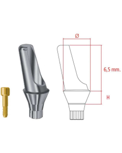 MG Inhex Mini Bont protetic angulat 20grd. 2mm W/S 23231020