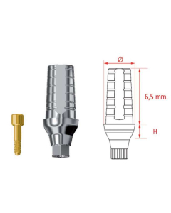 MG INHEX MINI BONT PROTETIC HEX 2 MM W/S 23207032