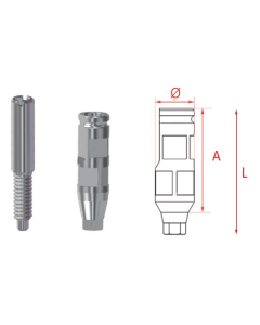 MG BONT TRANSFER HEX  INHEX STD 23205503