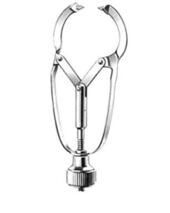 PIN PORTMATRICE IVORY 800-61-05