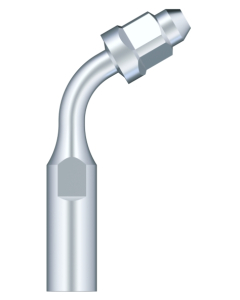SKL Anse Endo pt scaler E1-S