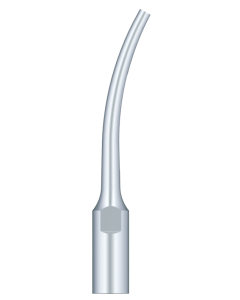 SKL Anse pt scaler G8