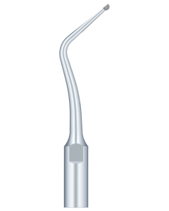 SKL Anse pt scaler SB3-S