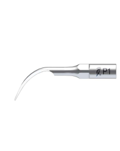 WP ANSE DETARTRAJ P1 PT EMS, WOODPECKER